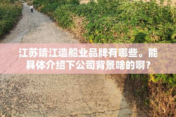江苏靖江造船业品牌有哪些。能具体介绍下公司背景啥的啊？