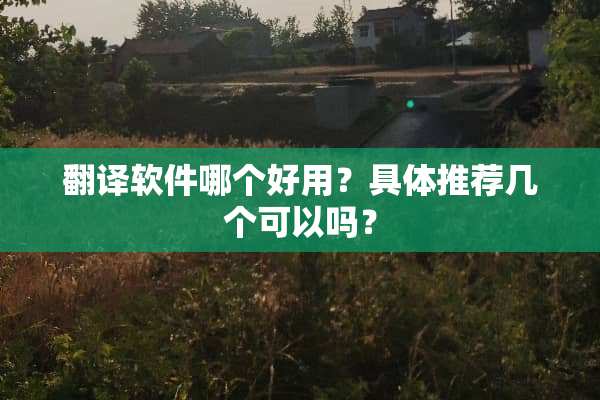 翻译软件哪个好用？具体推荐几个可以吗？