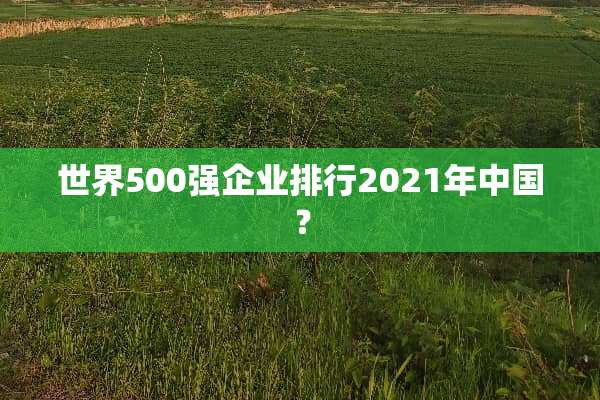 世界500强企业排行2021年中国？