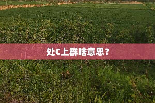 处C上群啥意思？