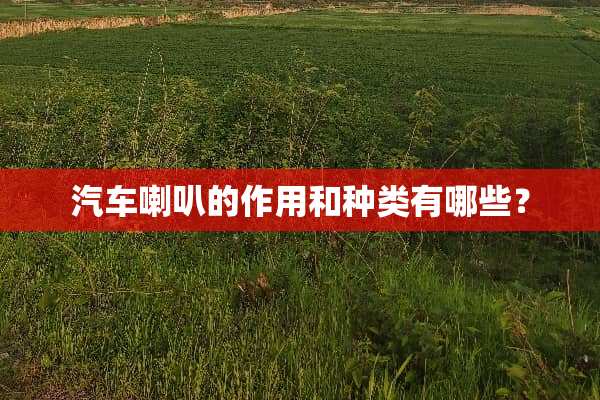 汽车喇叭的作用和种类有哪些？