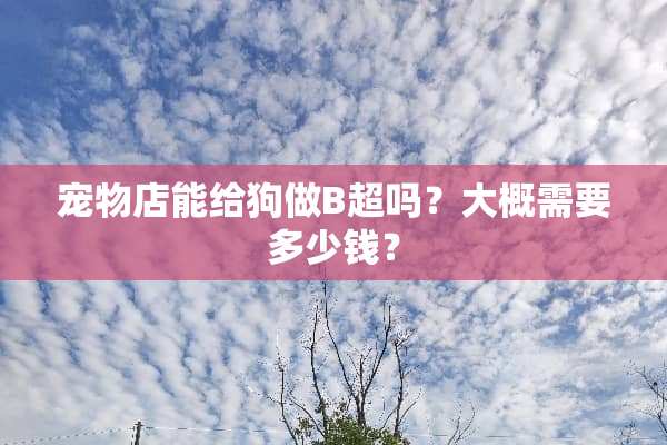 宠物店能给狗做B超吗？大概需要多少钱？