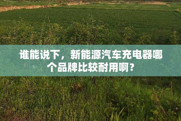 谁能说下，新能源汽车充电器哪个品牌比较耐用啊？