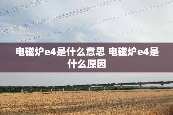 电磁炉e4是什么意思 电磁炉e4是什么原因