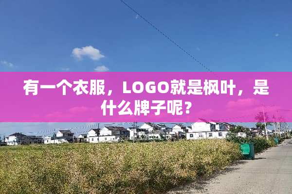 有一个衣服，LOGO就是枫叶，是什么牌子呢？