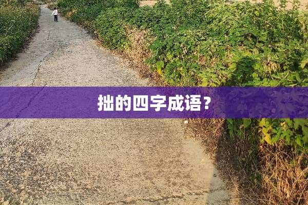 拙的四字成语？