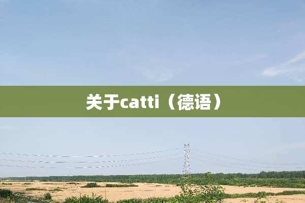关于catti（德语）