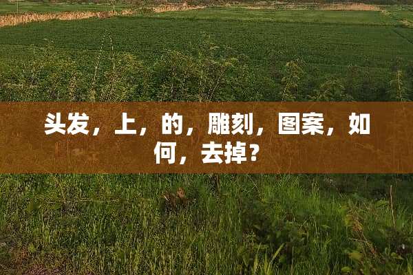 头发，上，的，雕刻，图案，如何，去掉？