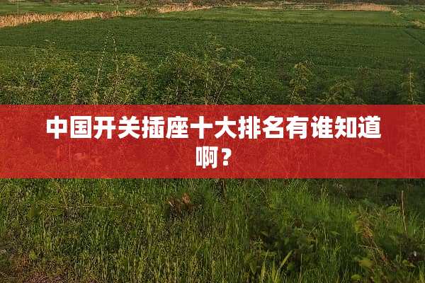 中国开关插座十大排名有谁知道啊？