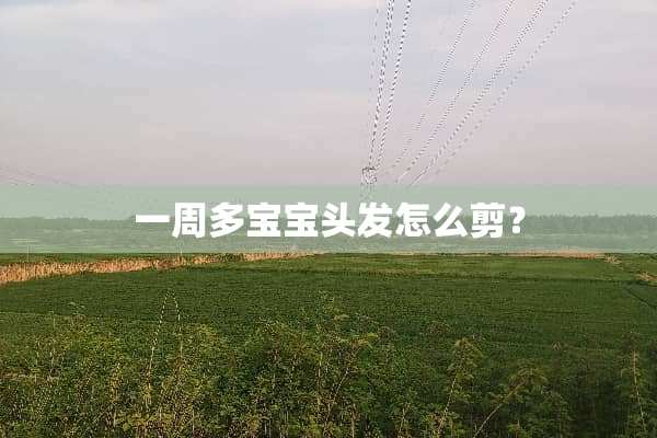 一周多宝宝头发怎么剪？