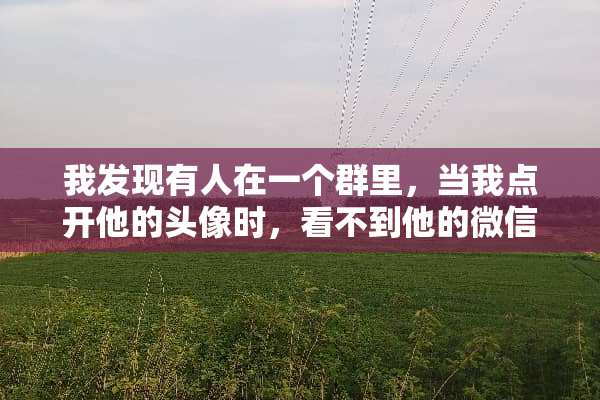 我发现有人在一个群里，当我点开他的头像时，看不到他的微信号和昵称