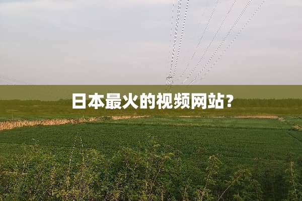 日本最火的视频网站？
