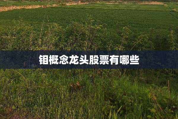 钼概念龙头股票有哪些
