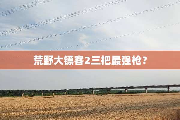 荒野大镖客2三把最强*？