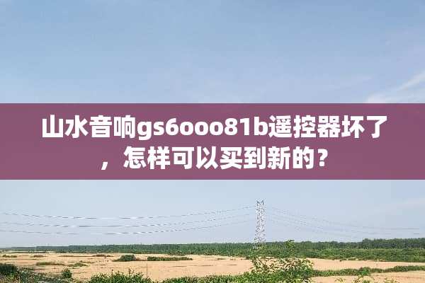 山水音响gs6ooo81b***坏了，怎样可以买到新的？