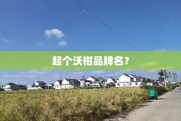 起个沃柑品牌名？