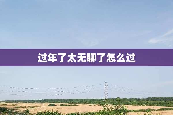 过年了太无聊了怎么过