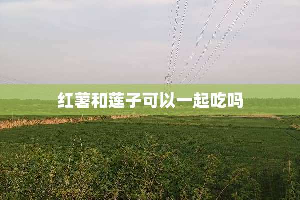 红薯和莲子可以一起吃吗