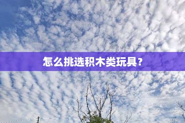 怎么挑选积木类玩具？