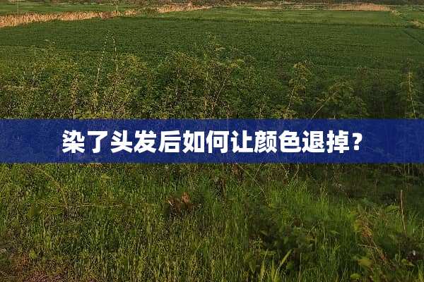 染了头发后如何让颜色退掉？