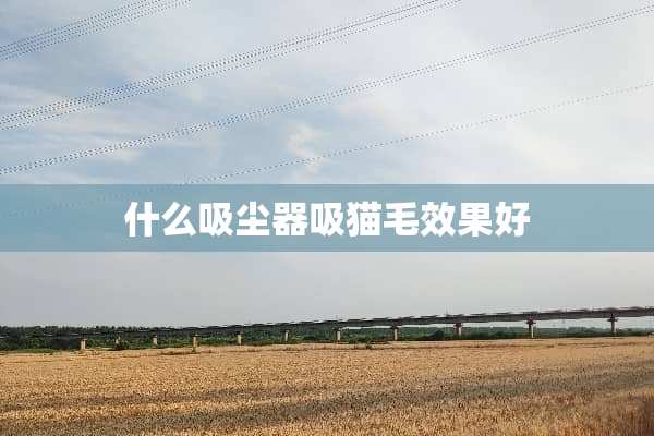 什么吸尘器吸猫毛效果好