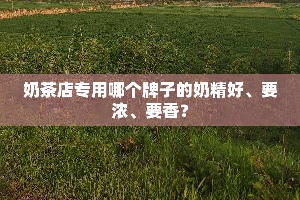 奶茶店专用哪个牌子的奶精好、要浓、要香？