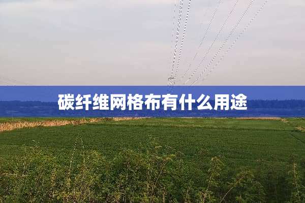 碳纤维网格布有什么用途