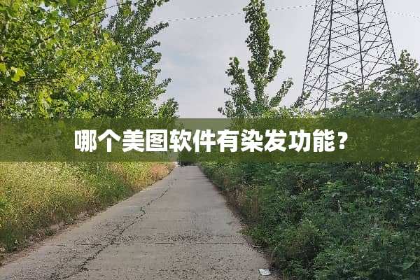 哪个美图软件有染发功能？