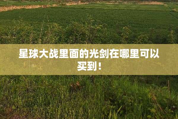 星球大战里面的光剑在哪里可以买到！