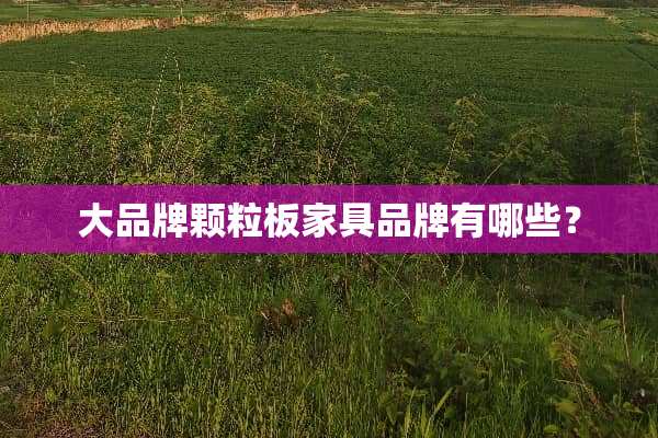 大品牌颗粒板家具品牌有哪些？