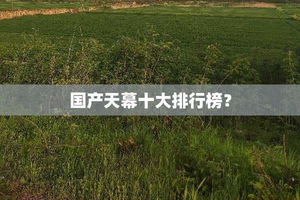 国产天幕十大排行榜？