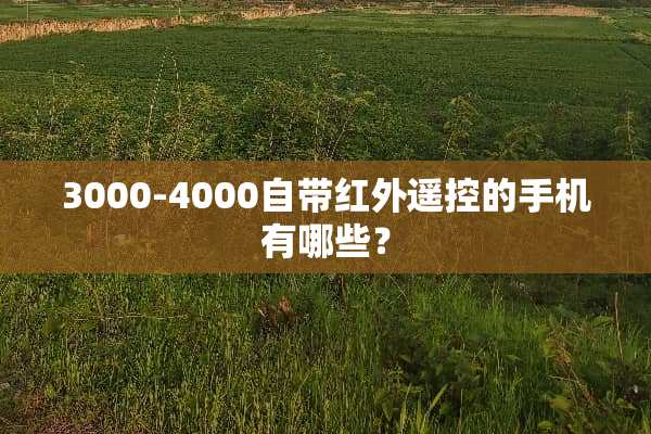 3000-4000自带红外遥控的手机有哪些？