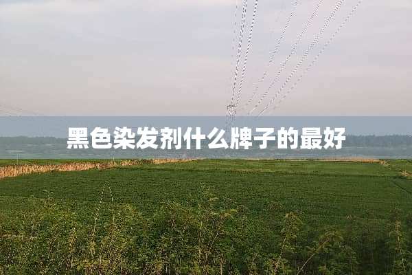黑色染发剂什么牌子的最好