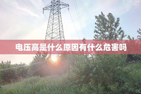 电压高是什么原因有什么危害吗