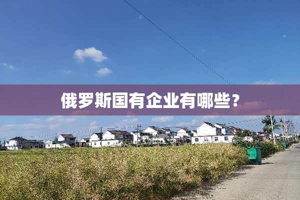 俄罗斯国有企业有哪些？