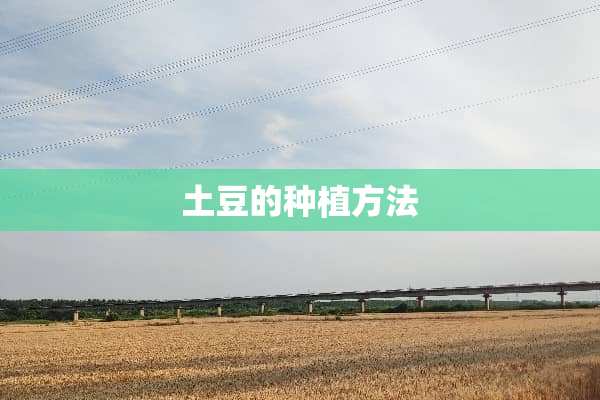 土豆的种植方法