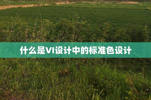 什么是VI设计中的标准色设计