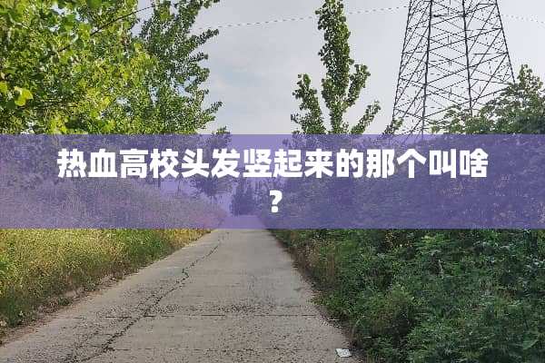 热血高校头发竖起来的那个叫啥？