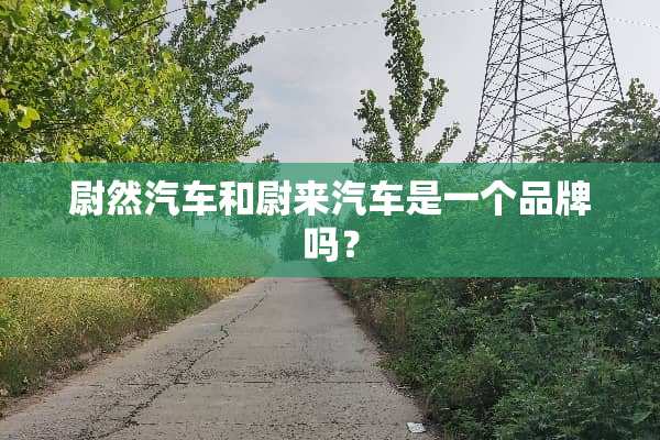 尉然汽车和尉来汽车是一个品牌吗？