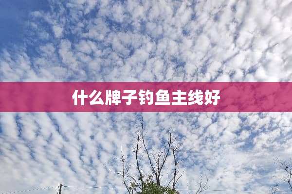 什么牌子钓鱼主线好
