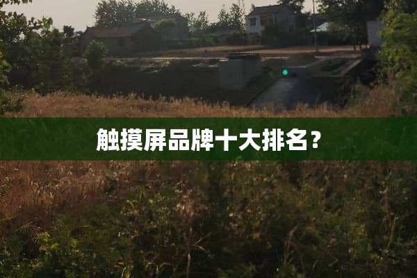 触摸屏品牌十大排名？