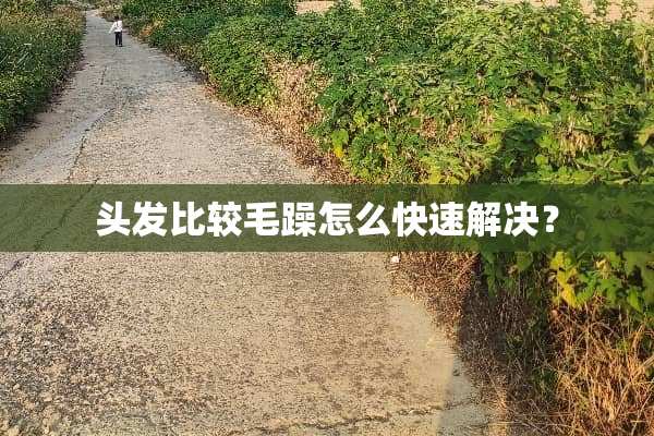 头发比较毛躁怎么快速解决？
