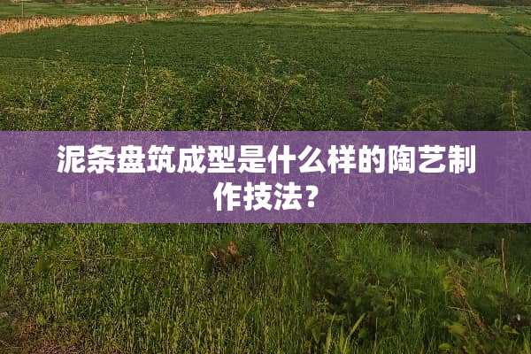 泥条盘筑成型是什么样的陶艺制作技法？