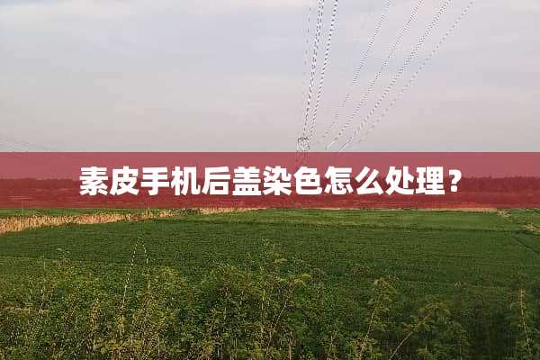 素皮手机后盖染色怎么处理？