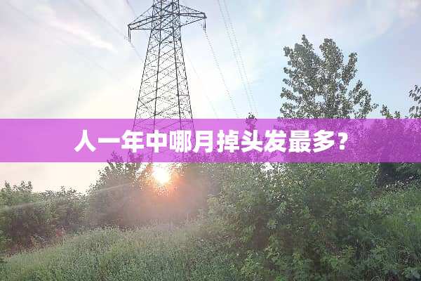 人一年中哪月掉头发最多？