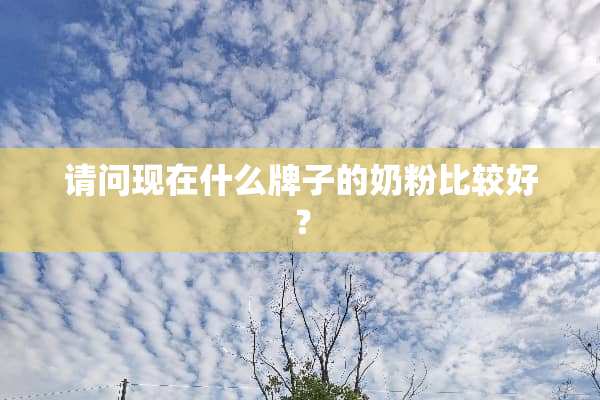 请问现在什么牌子的奶粉比较好？