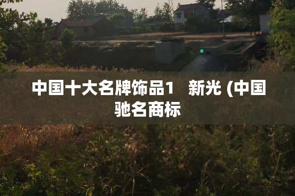 中国十大名牌饰品1   新光 (中国驰名商标