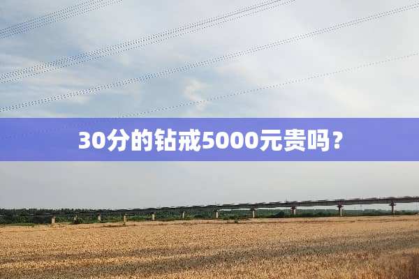 30分的钻戒5000元贵吗？