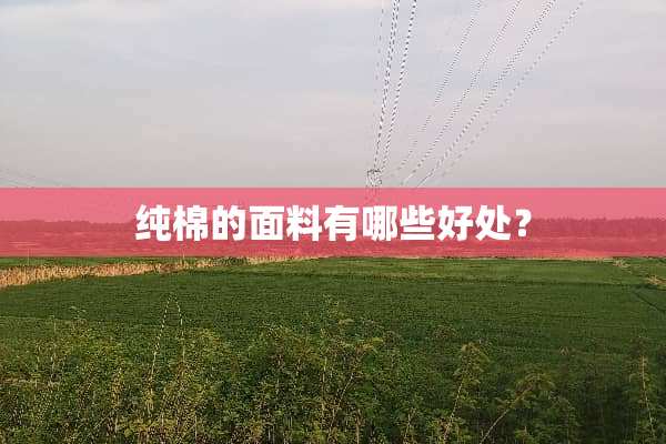 纯棉的面料有哪些好处？