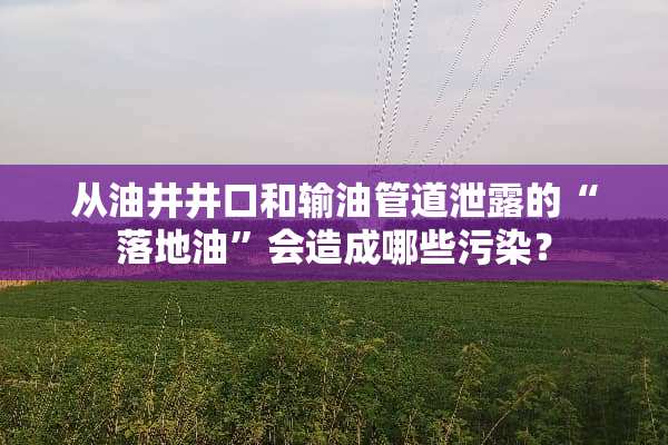 从油井井口和输油管道泄露的“落地油”会造成哪些污染？